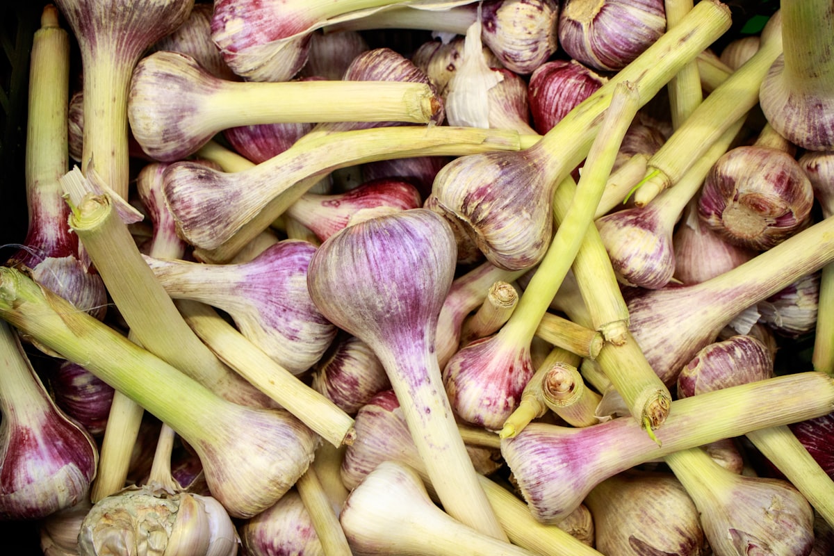Aglio e stile di vita
