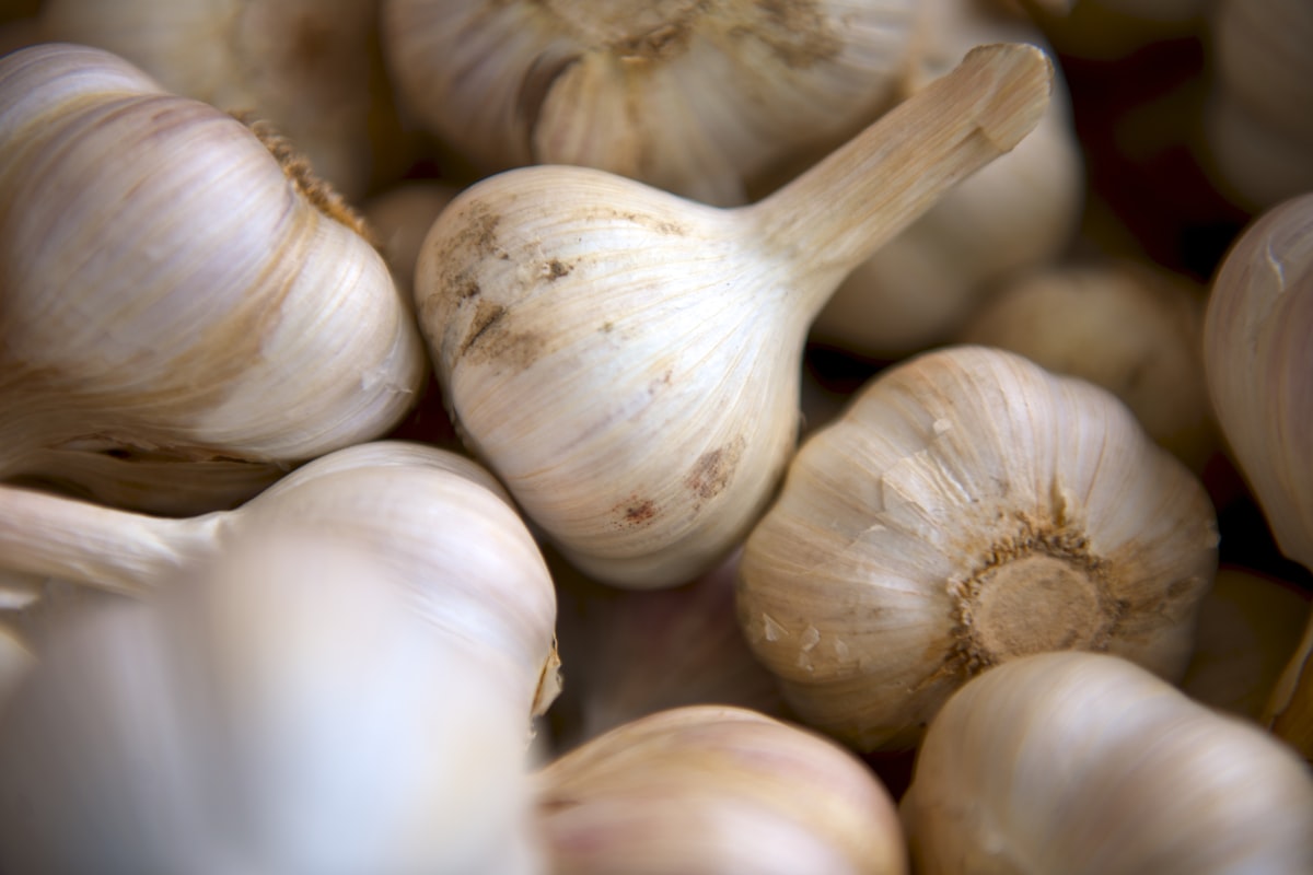 Aglio e antiossidanti